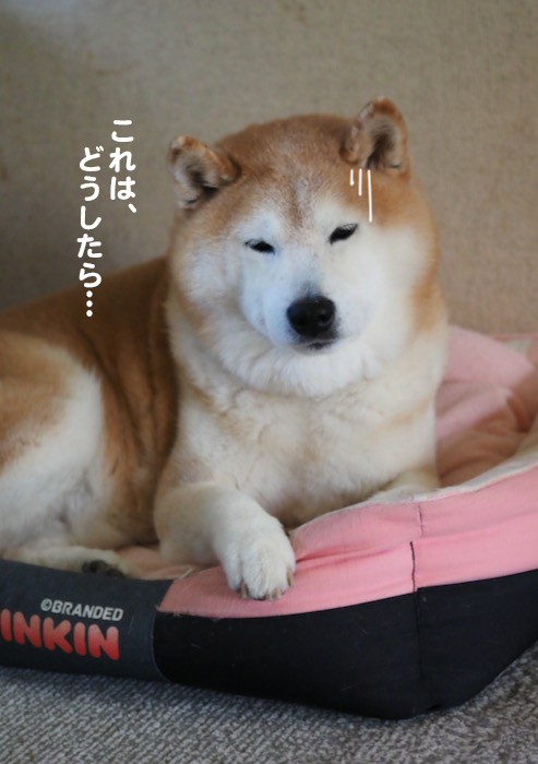 2日ブログ２