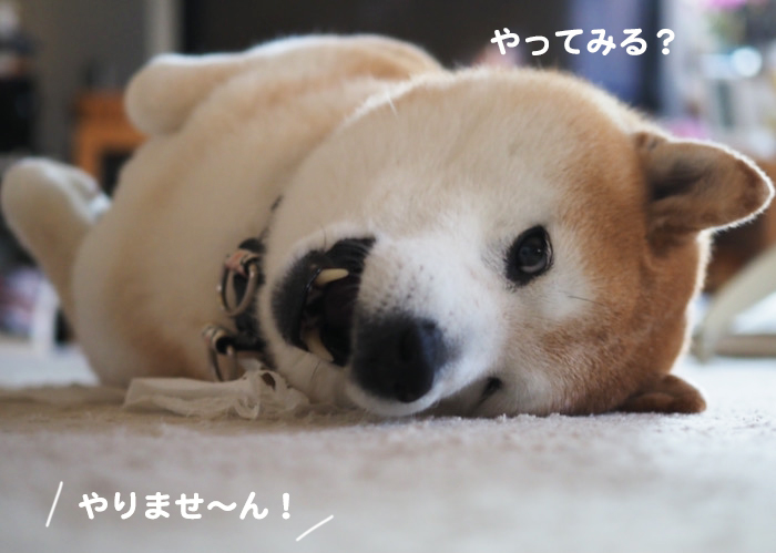 7日夜ブログ５
