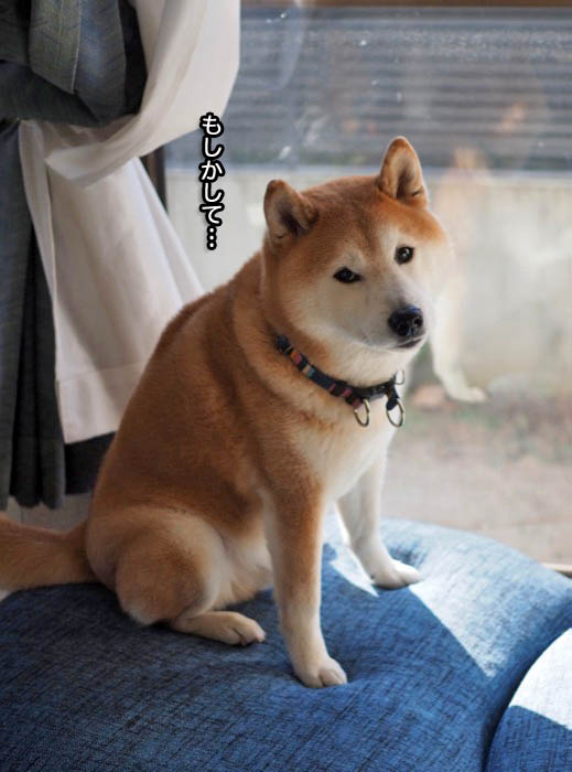 17日ブログ６