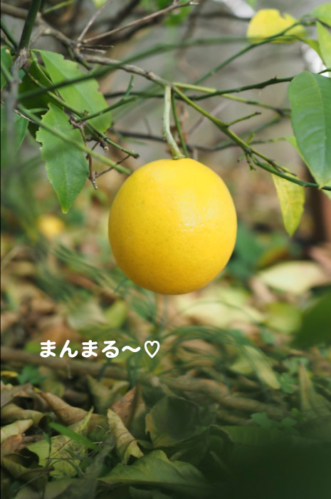 8日午前ブログ３