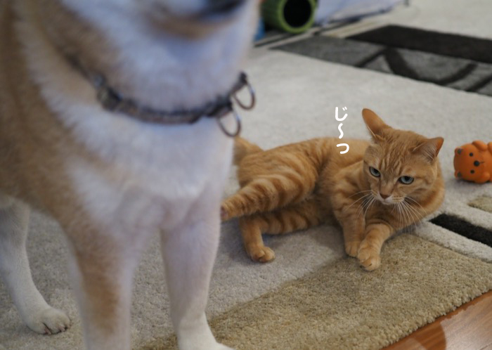 3日夕ブログ３