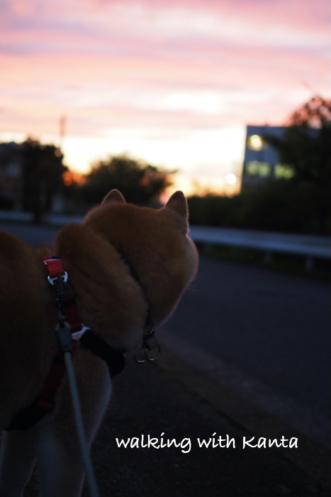 12日ブログ４