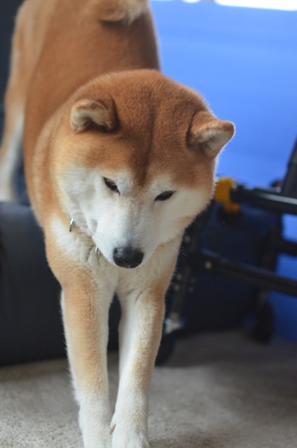 2日ブログ7