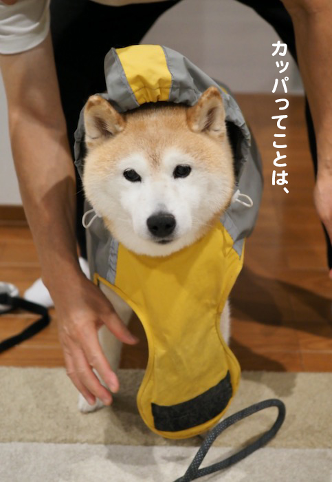 11日ブログ１