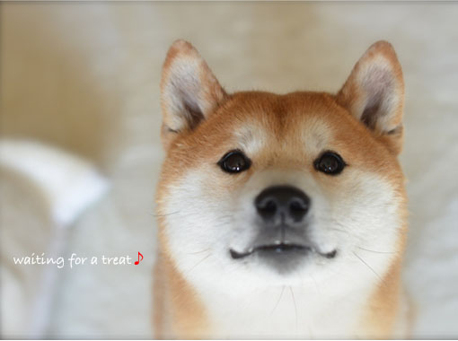 6日ブログ２.jpg