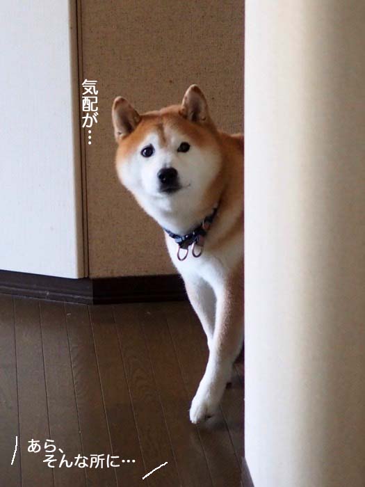 5日ブログ６