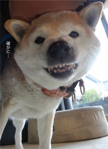 10日ブログ７.jpg