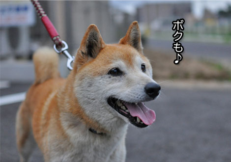 29日ブログ18.jpg