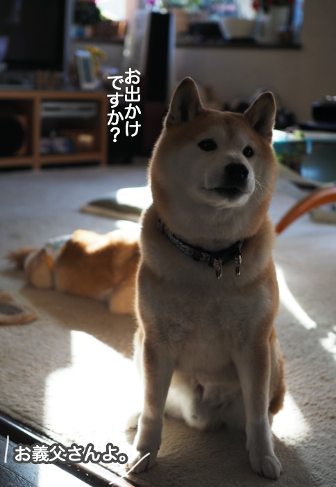 22日ブログ２