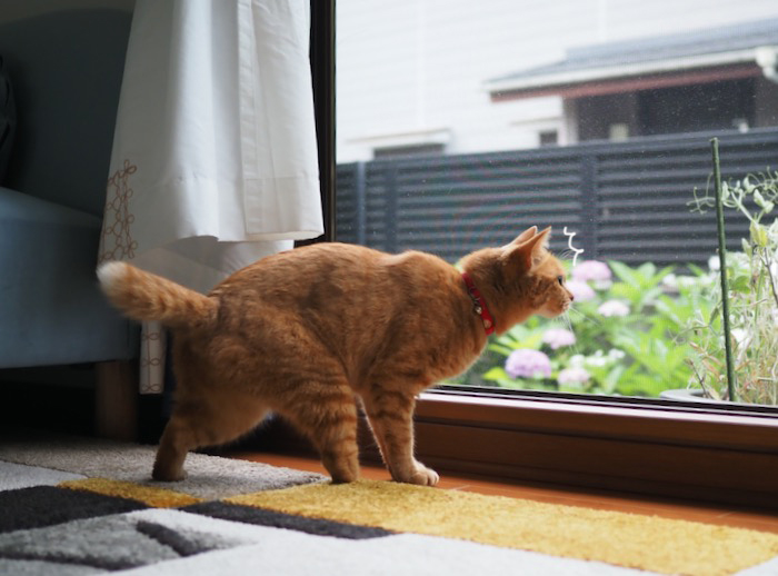 11日ブログ２