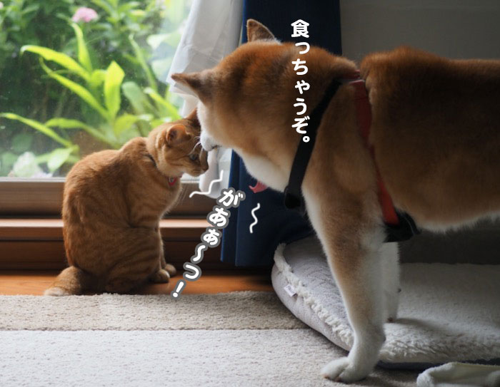 9日ブログ１