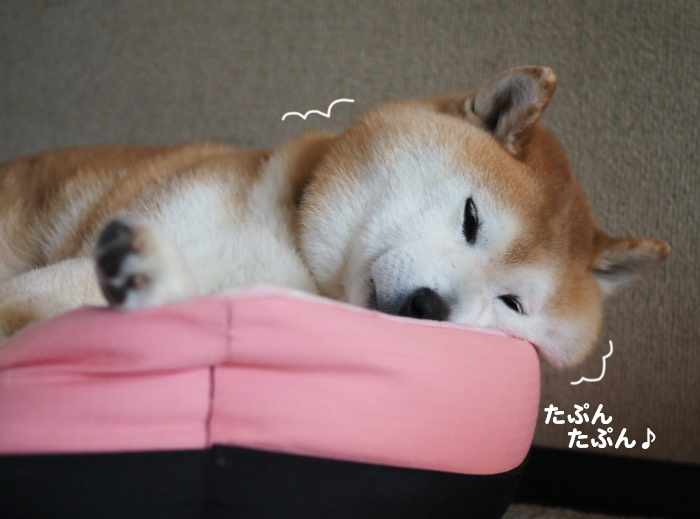 18日夕ブログ４