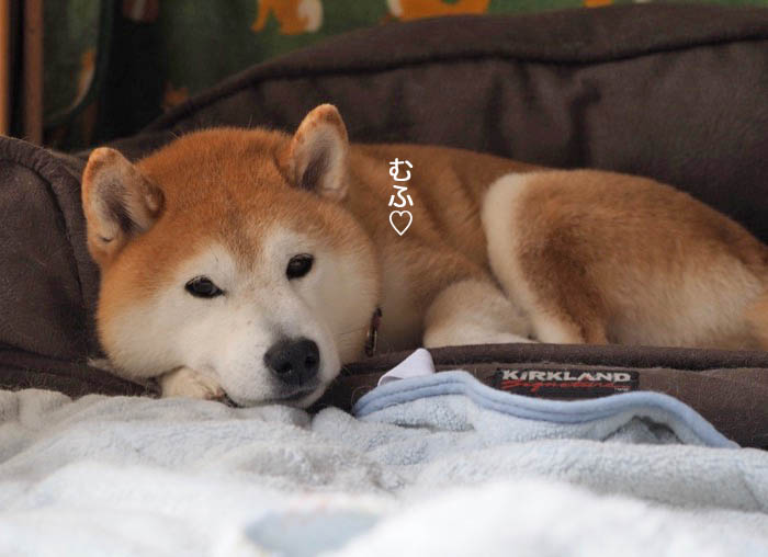 21日ブログ３