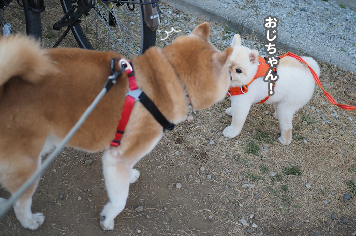 4日ブログ５