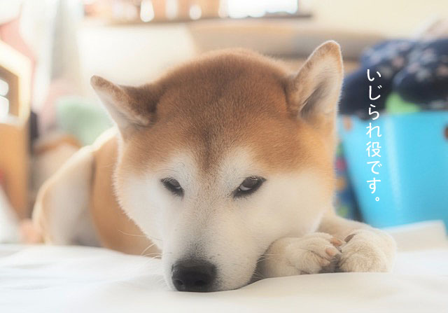 21日ブログ3