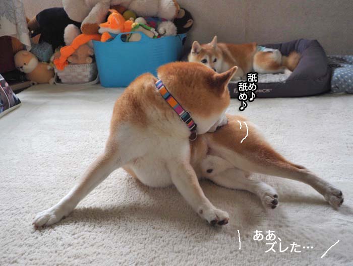 31日ブログ６