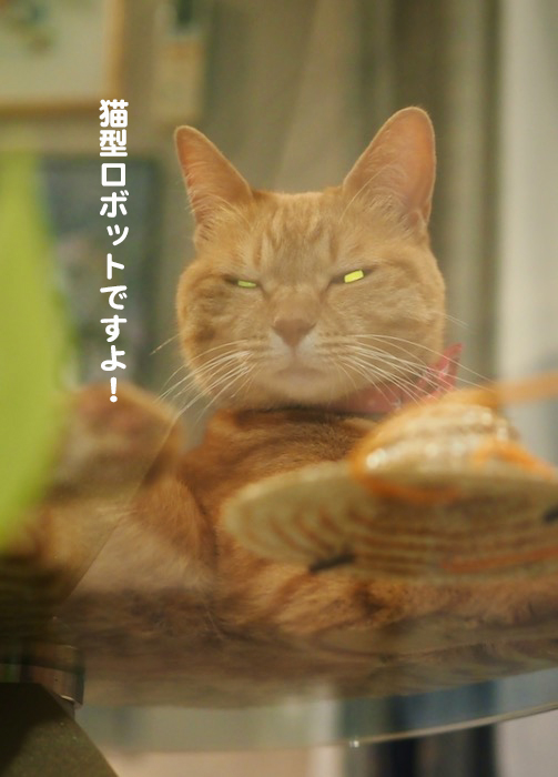 6日夕ブログ７