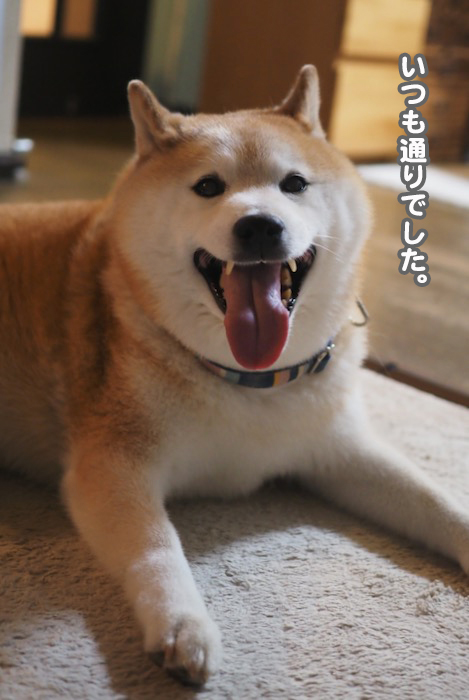 17日夕ブログ５