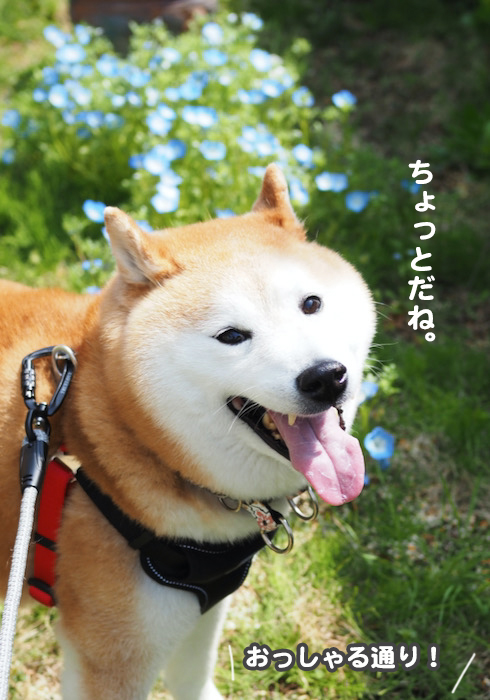 8日ブログ５
