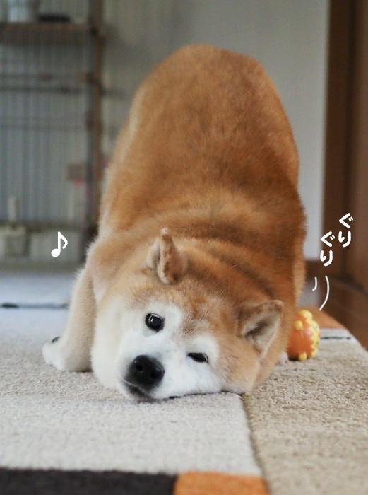 19日夕ブログ７
