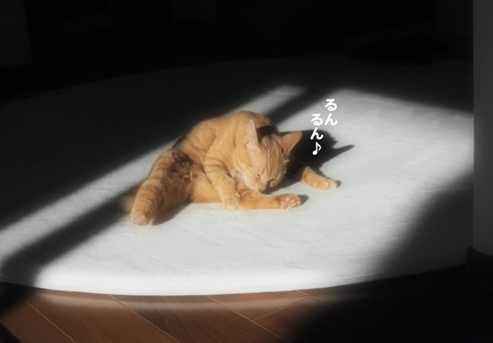 21日ブログ２
