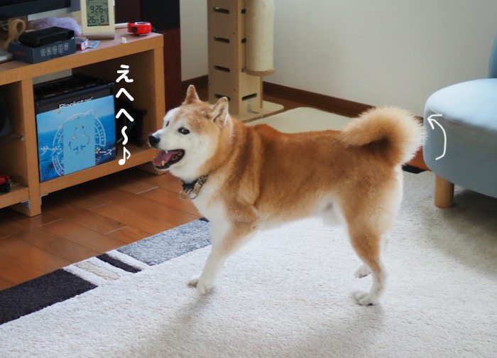 4日ブログ１