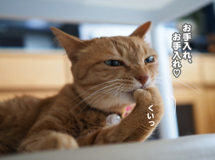9日夕ブログ６