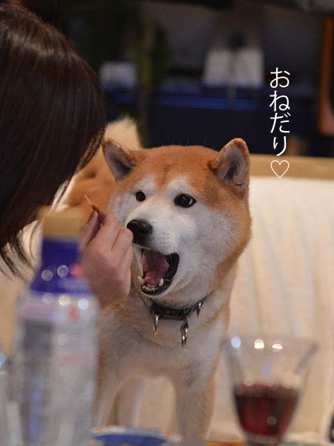 26日ブログ4