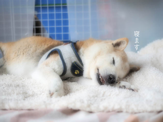 20日ブログ4