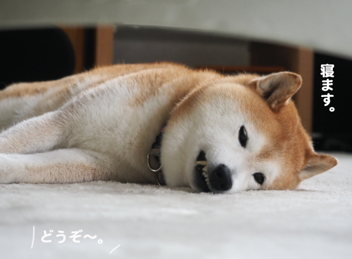 18日ブログ５