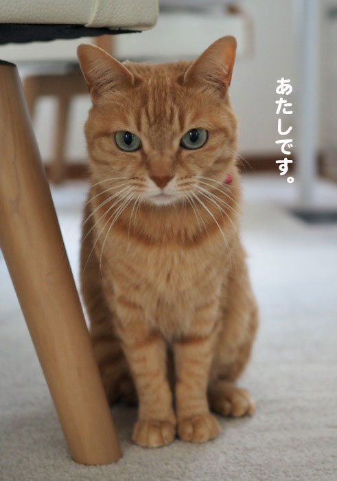 1日夕ブログ2