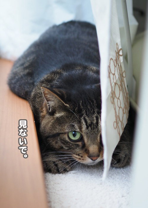 16日ブログ２