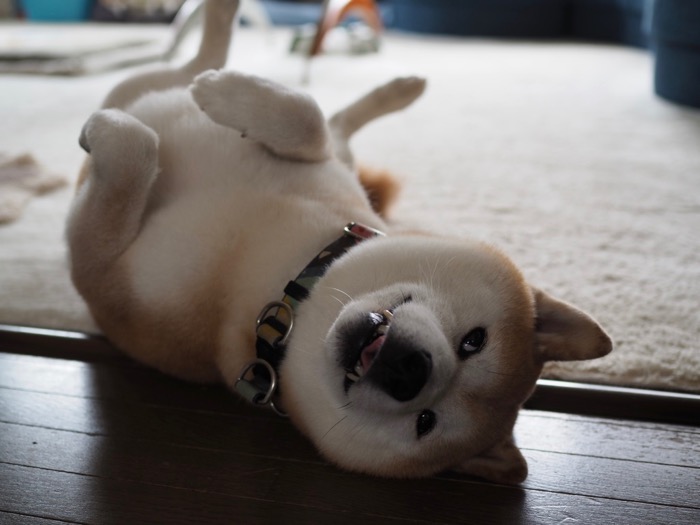 27日ブログ１