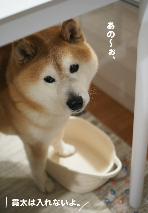 24日夕ブログ２