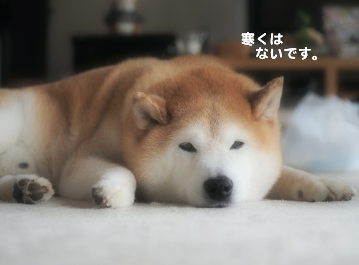 23日ブログ３