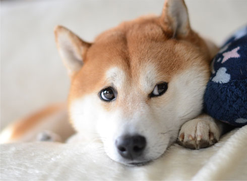 27日ブログ8.jpg