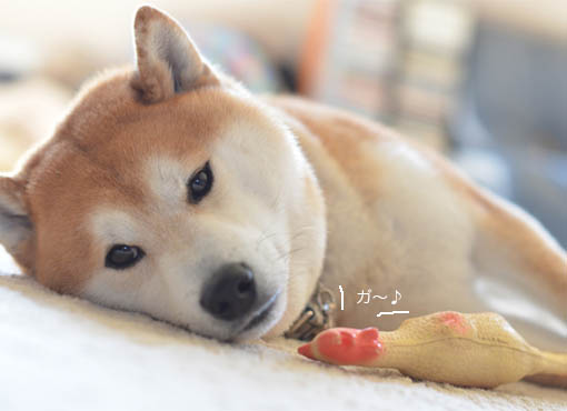 16日ブログ５.jpg