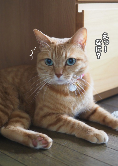 7日ブログ２