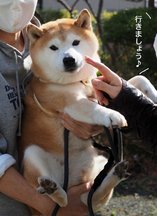 9日夜ブログ８