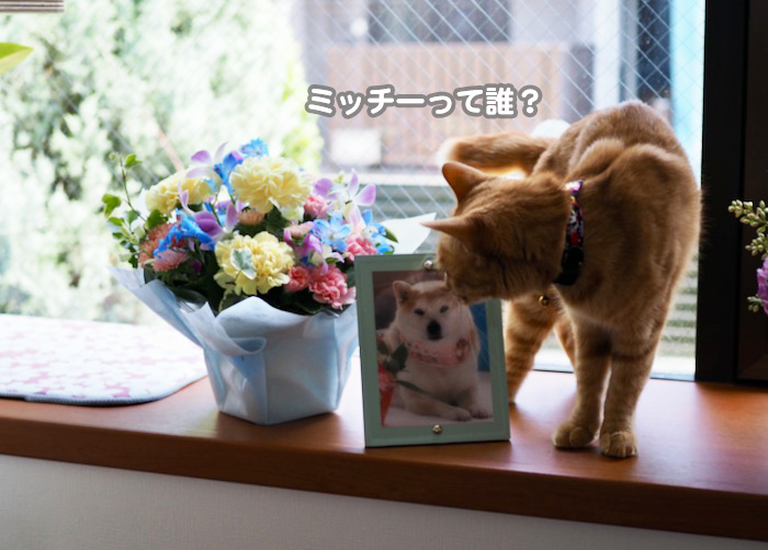 1日夕ブログ５