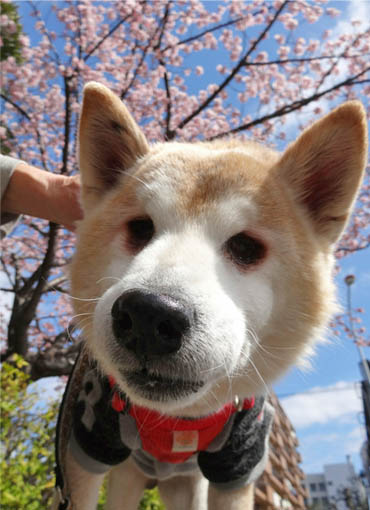 5日ブログ8.jpg