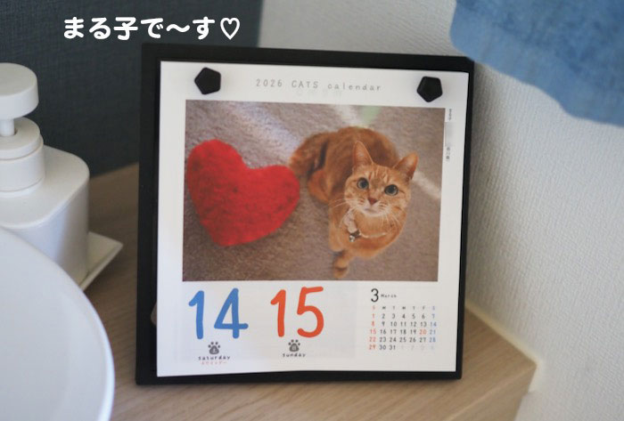 14日ブログ２