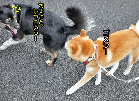 20日ブログ7.jpg