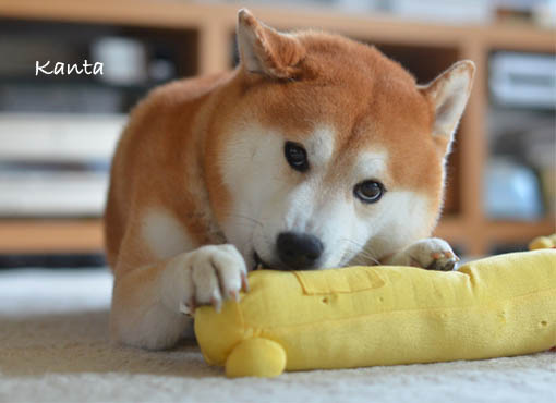 27日ブログ7.jpg