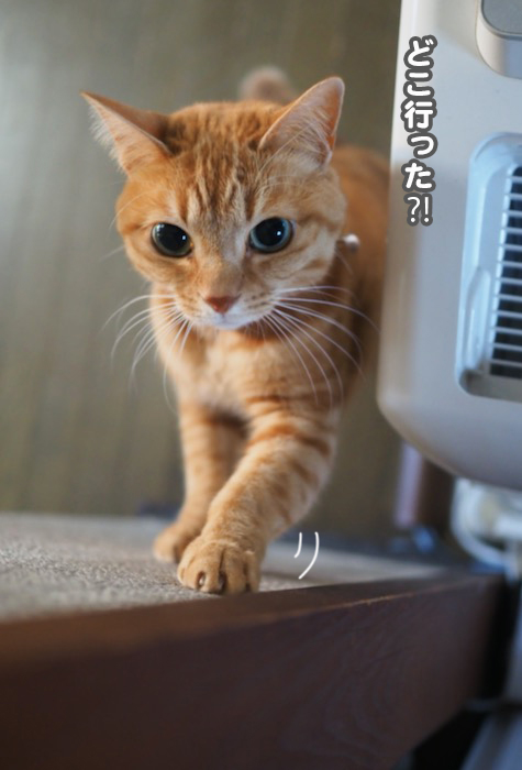 19日夜ブログ３