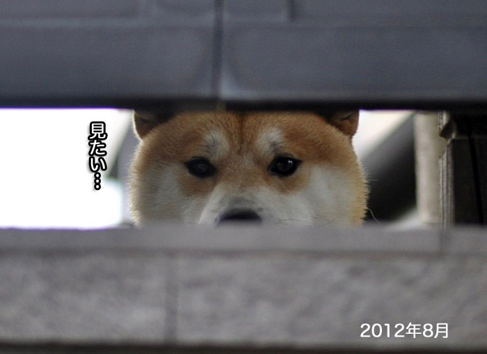 21日午前ブログ１