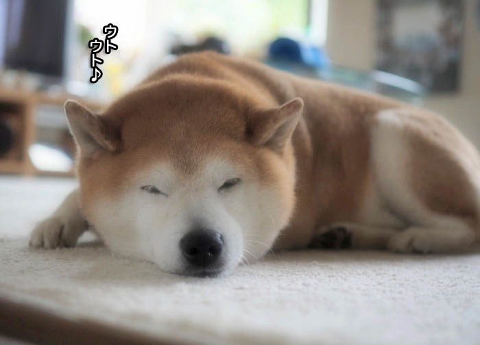 28日夜ブログ２