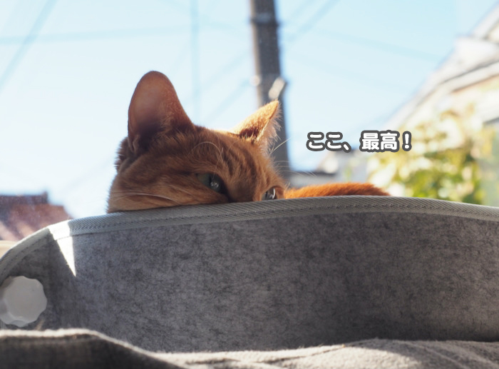 19日夕ブログ６