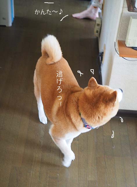 20日ブログ６