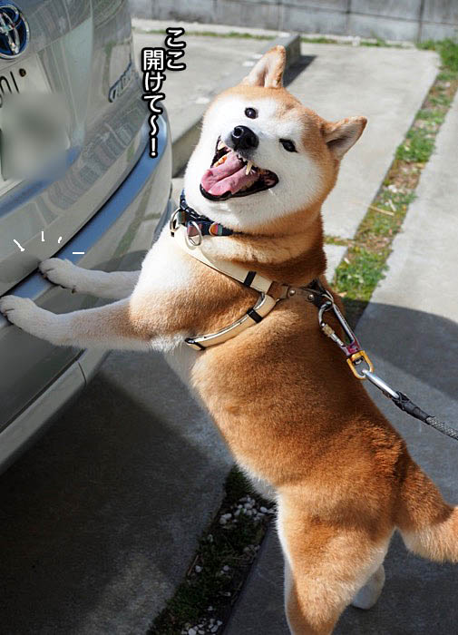 14日ブログ６